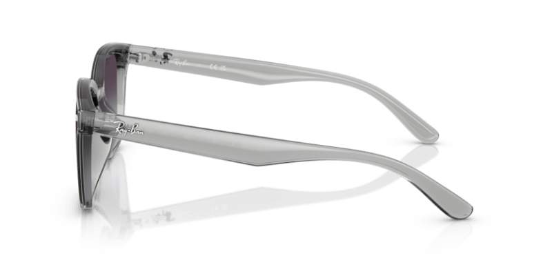 Transparent Grey - 0RB4461D 8056262458013