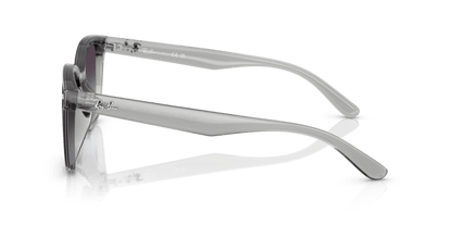 Transparent Grey - 0RB4461D 8056262458013