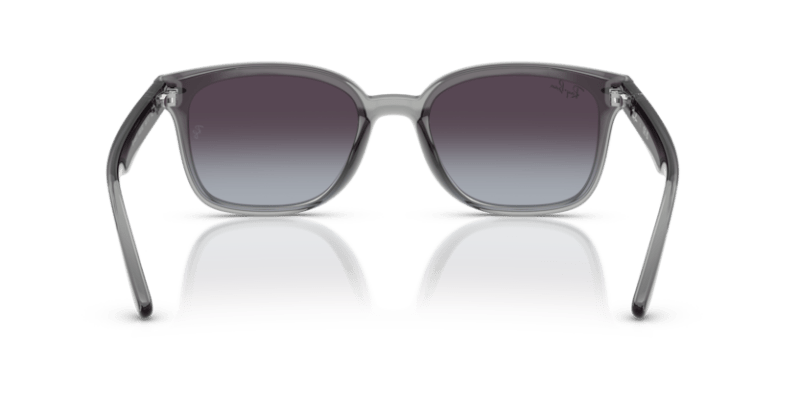 Transparent Grey - 0RB4461D 8056262458013