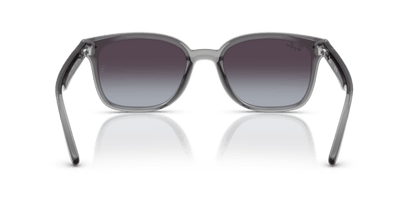 Transparent Grey - 0RB4461D 8056262458013