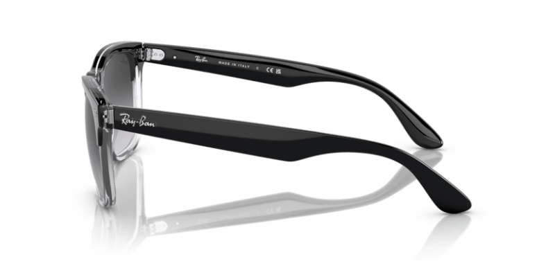 Black On Transparent - 0RB4487 8056597717823