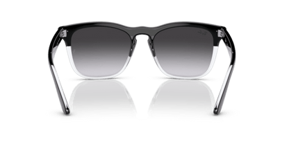 Black On Transparent - 0RB4487 8056597717823