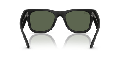 Sand Black - 0RB4840S 8056262282519