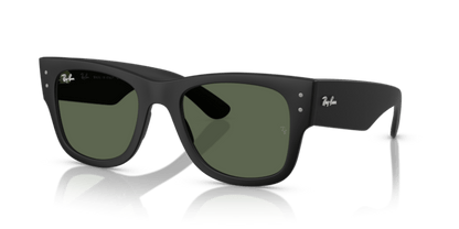 Sand Black - 0RB4840S 8056262282519