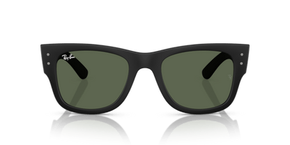 Sand Black - 0RB4840S 8056262282519