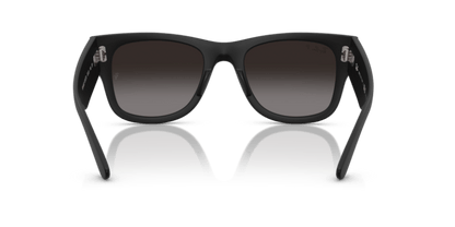Sand Black - 0RB4840S 8056262282564