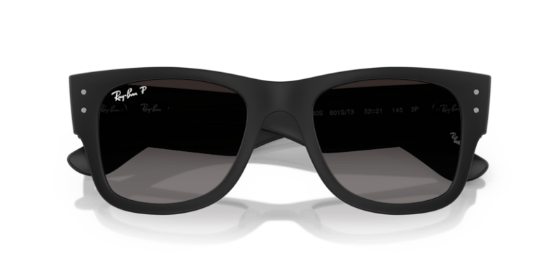 Sand Black - 0RB4840S 8056262282564