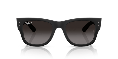 Sand Black - 0RB4840S 8056262282564