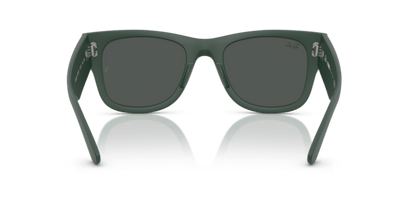 Sand Green - 0RB4840S 8056262282618