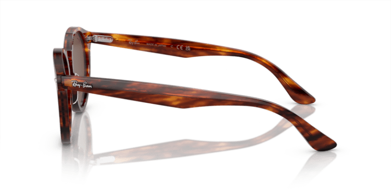 Striped Havana - 0RB7680S 8056597953412