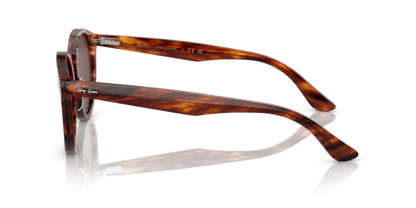 Striped Havana - 0RB7680S 8056597953412