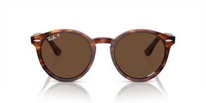 Striped Havana - 0RB7680S 8056597953412