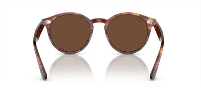 Striped Havana - 0RB7680S 8056597953412