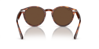 Striped Havana - 0RB7680S 8056597953412