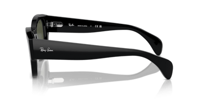 Black - 0RB7681S 8056262033739