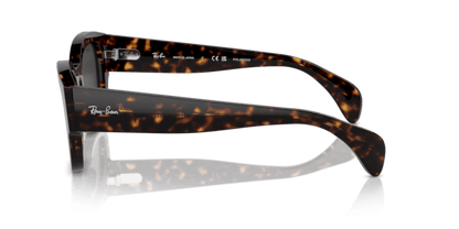 Havana - 0RB7681S 8056262033746