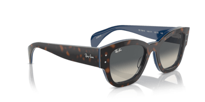 Havana Grey On Blue - 0RB7681S 8056262033715