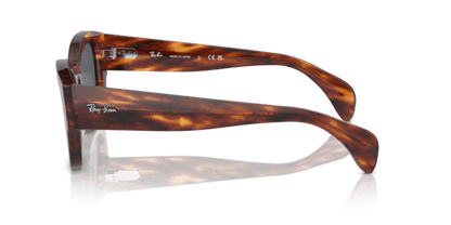 Striped Havana - 0RB7681S 8056262033753