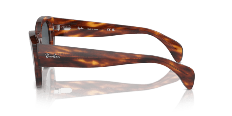 Striped Havana - 0RB7681S 8056262033753