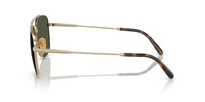 Arista Gold - 0RB8097 8056262285701