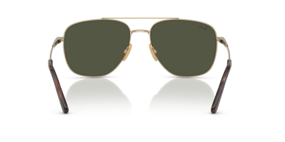 Arista Gold - 0RB8097 8056262285701