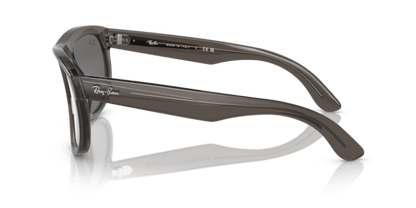 Transparent Dark Grey - 0RBR0501S 8056597918954