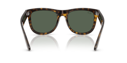 Dark Havana - 0RBR0502S 8056262304877