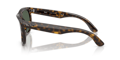 Dark Havana - 0RBR0502S 8056262304877