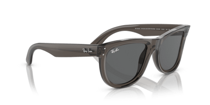 Transparent Dark Grey - 0RBR0502S 8056597918855