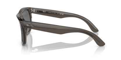 Transparent Dark Grey - 0RBR0502S 8056597918855