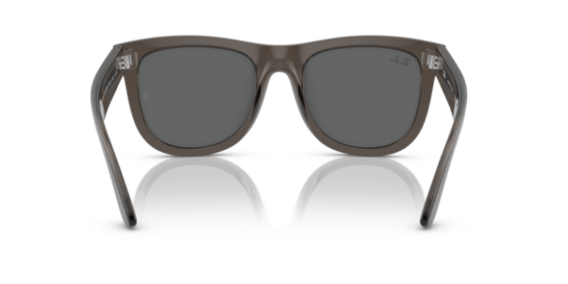 Transparent Dark Grey - 0RBR0502S 8056597918855