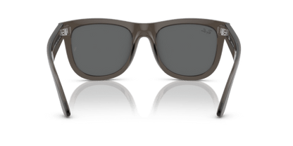 Transparent Dark Grey - 0RBR0502S 8056597918855