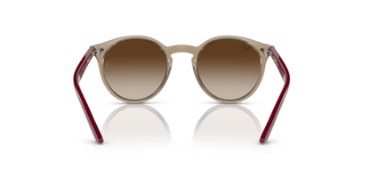 Transparent Brown - 0RJ9064S 8056597752510