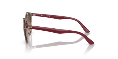 Transparent Brown - 0RJ9064S 8056597752510