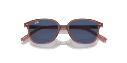 Opal Pink - 0RJ9093S 8056597955751