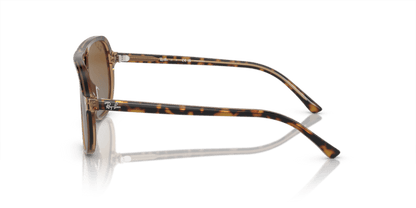 Havana On Transparent Brown - 0RJ9096S 8056597941136