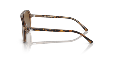 Havana On Transparent Brown - 0RJ9096S 8056597941136