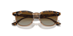 0RJ9098S - Ray - Ban Junior - (Havana On Transparent) Brown Polarized - 45 - 18 - 130 MM - Ardor Eyewear 8056262047125