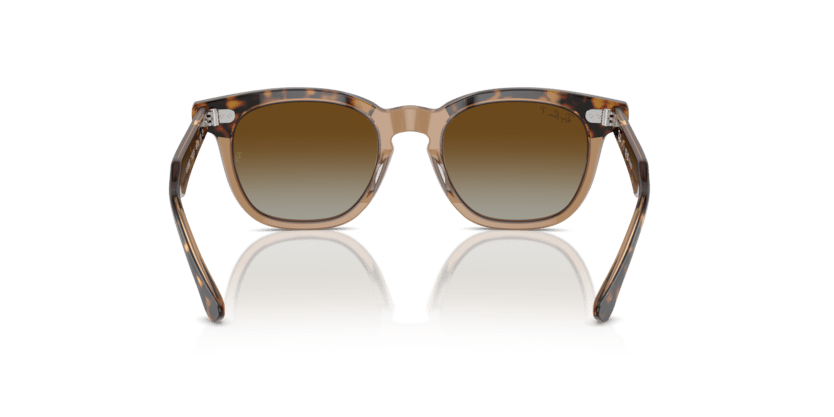 0RJ9098S - Ray - Ban Junior - (Havana On Transparent) Brown Polarized - 45 - 18 - 130 MM - Ardor Eyewear 8056262047125