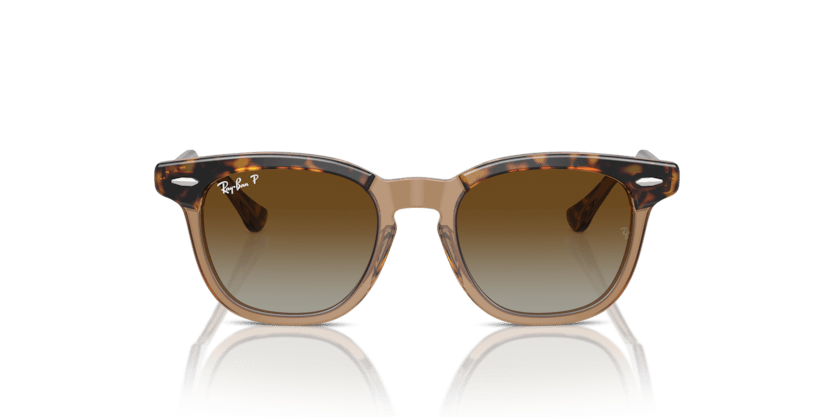 0RJ9098S - Ray - Ban Junior - (Havana On Transparent) Brown Polarized - 45 - 18 - 130 MM - Ardor Eyewear 8056262047125