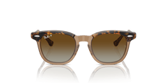 0RJ9098S - Ray - Ban Junior - (Havana On Transparent) Brown Polarized - 45 - 18 - 130 MM - Ardor Eyewear 8056262047125