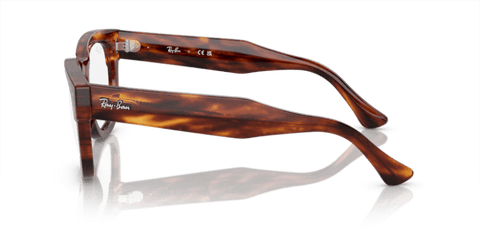 Striped Havana - 0RX0298V 8056597942874