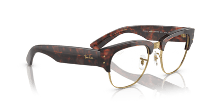 Tortoise On Gold - 0RX0316V 8056597840262