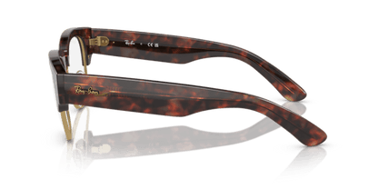 Tortoise On Gold - 0RX0316V 8056597840262