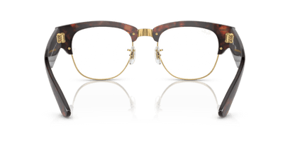 Tortoise On Gold - 0RX0316V 8056597840262