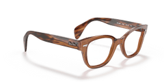 0RX0880 - Ray - Ban Vista - Brown - (Transparent Brown 8180) - 49 - 19 - 145 MM - Ardor Eyewear 8056597664226