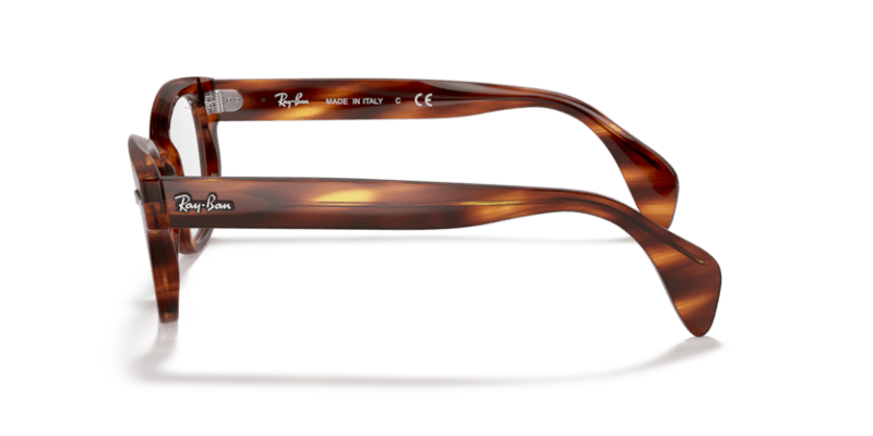 Ray-Ban Vista 0RX0880 Striped Havana 8056597245548