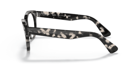 Grey Havana - 0RX2199V 8056597624046
