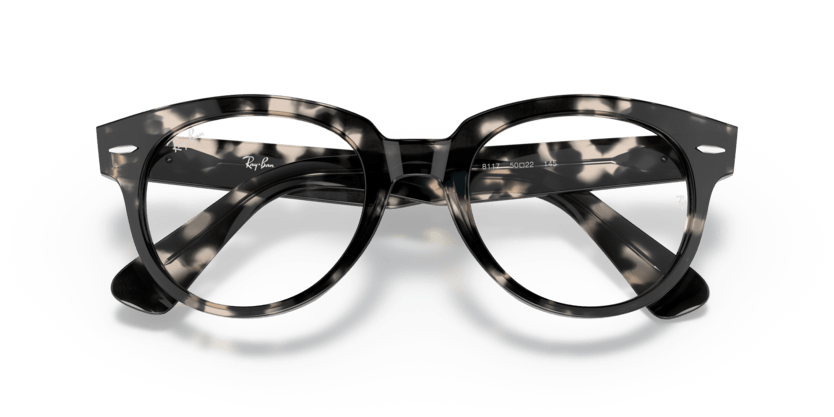 Grey Havana - 0RX2199V 8056597624046