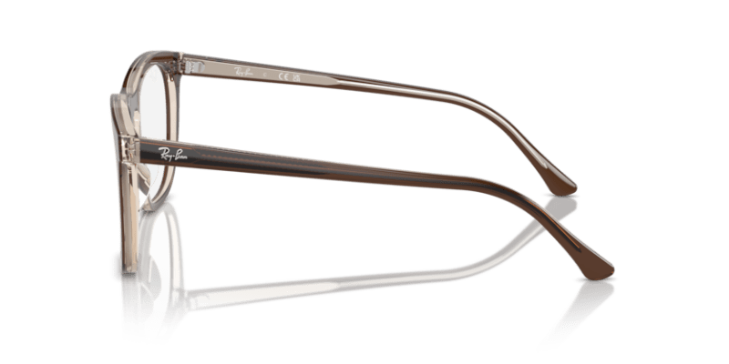 Brown On Transparent Light Brown - 0RX2210V 8056262039878